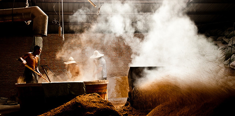 好酱酒，播天下